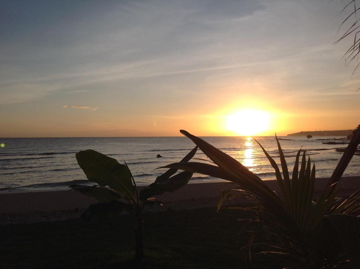 Dimiao Bamboobeachvilla1 Ac New Oceanfront Pool Sunsetview Garden Kitchen Satellite Starlink Wi-Fi מראה חיצוני תמונה